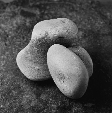 BEACH STONES 2